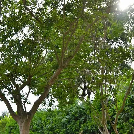 L'arco Di San Rocco فندق مبيت وإفطار Borgo a Giovi
